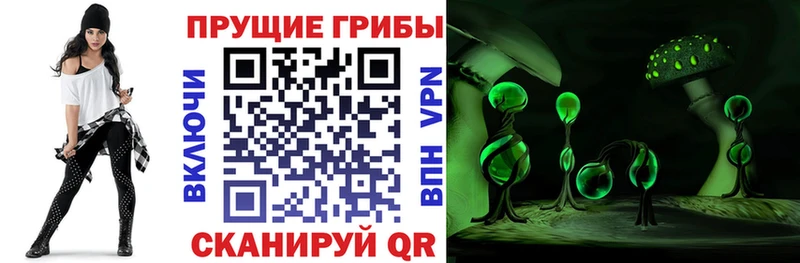 Псилоцибиновые грибы Cubensis  Нефтекамск 